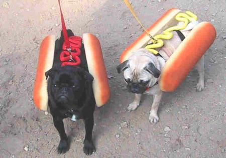 2 chiens