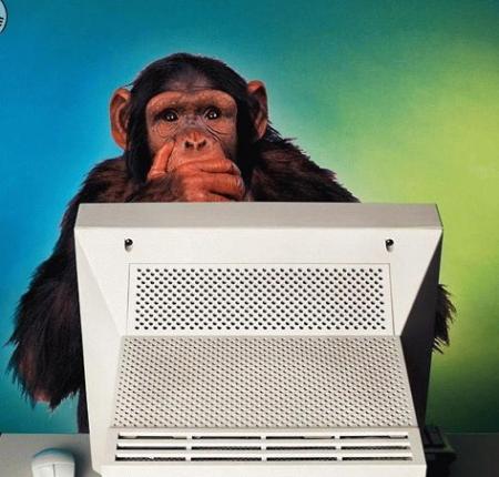 singe